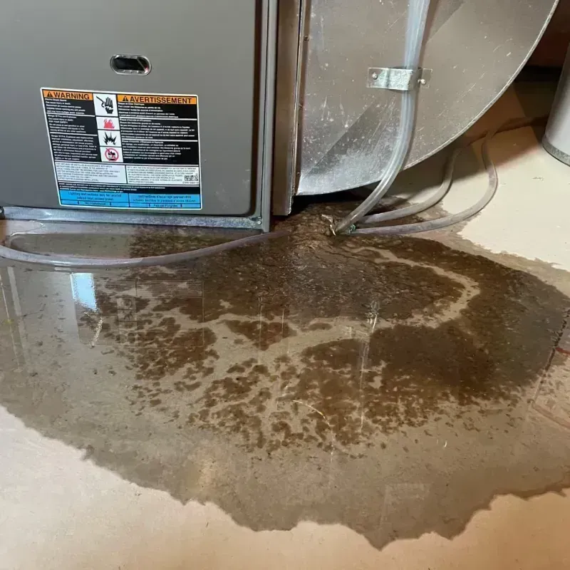 Appliance Leak Cleanup in Merced County, CA